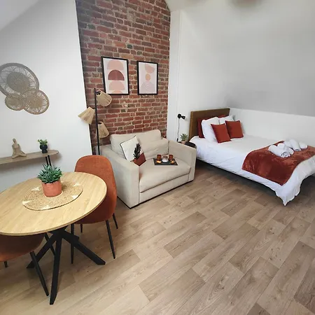 Les Briques Rouges, شقة *